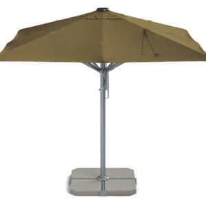 parasoller (brunid)