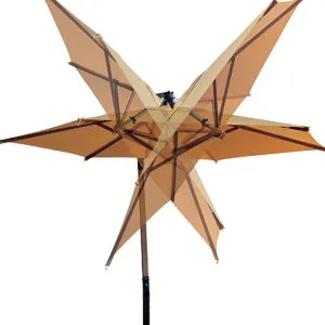 parasollet asendid
